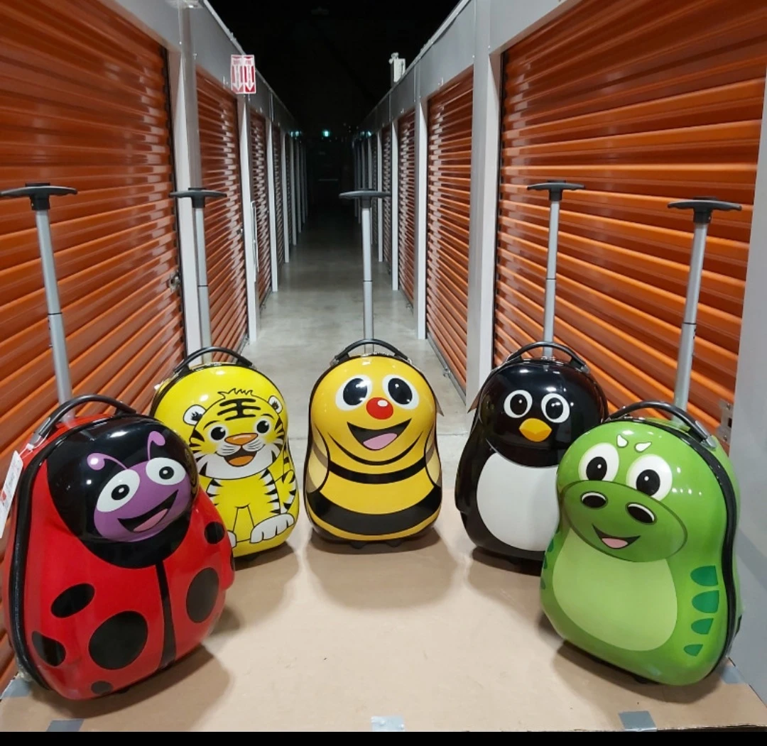 Children Luggage Carry On Hand Carry Kids Cabin Baggage Backpack image indicator(2)