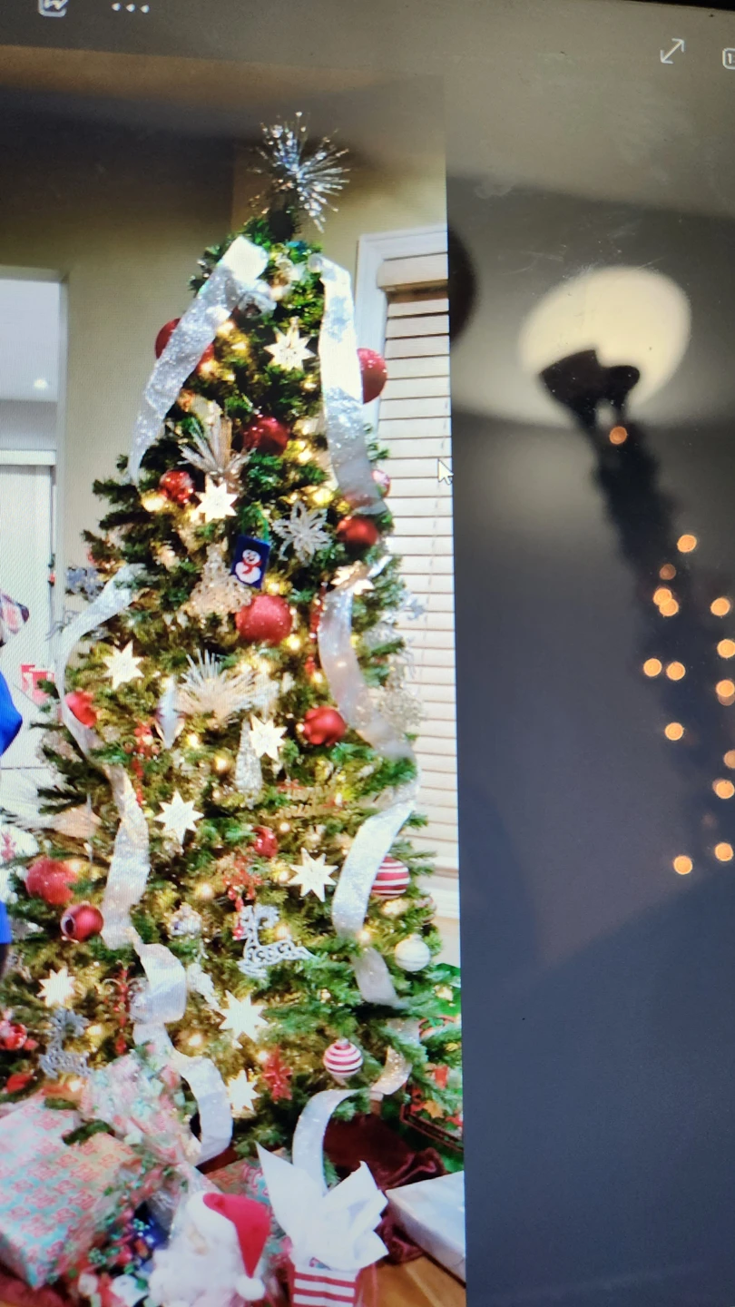 Christmas Tree 7 Feet thumbnail