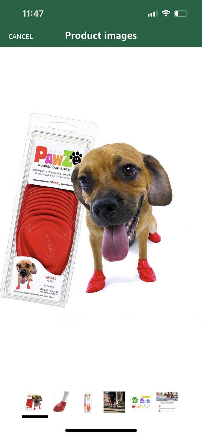 PROTEX PAWZ PZ1031 Water-Proof Dog Boot, Small,Red - photo 2