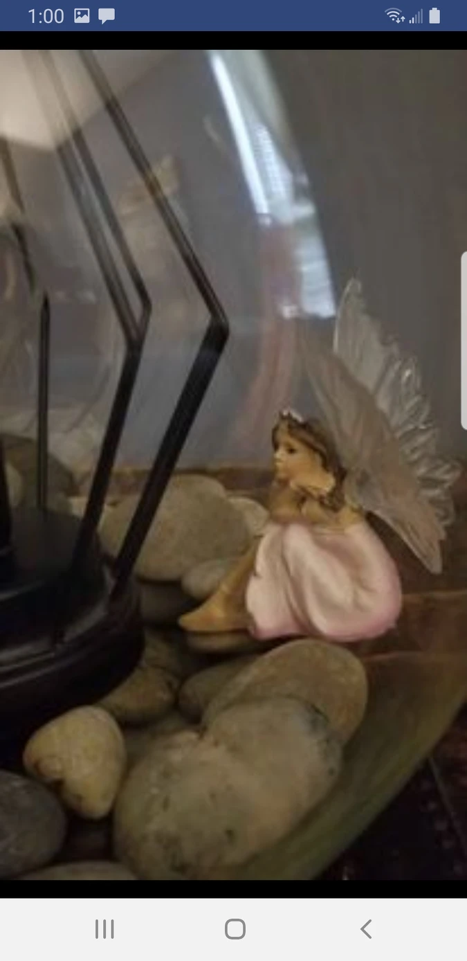 Homemade Terrarium Deco Lamp image indicator(2)