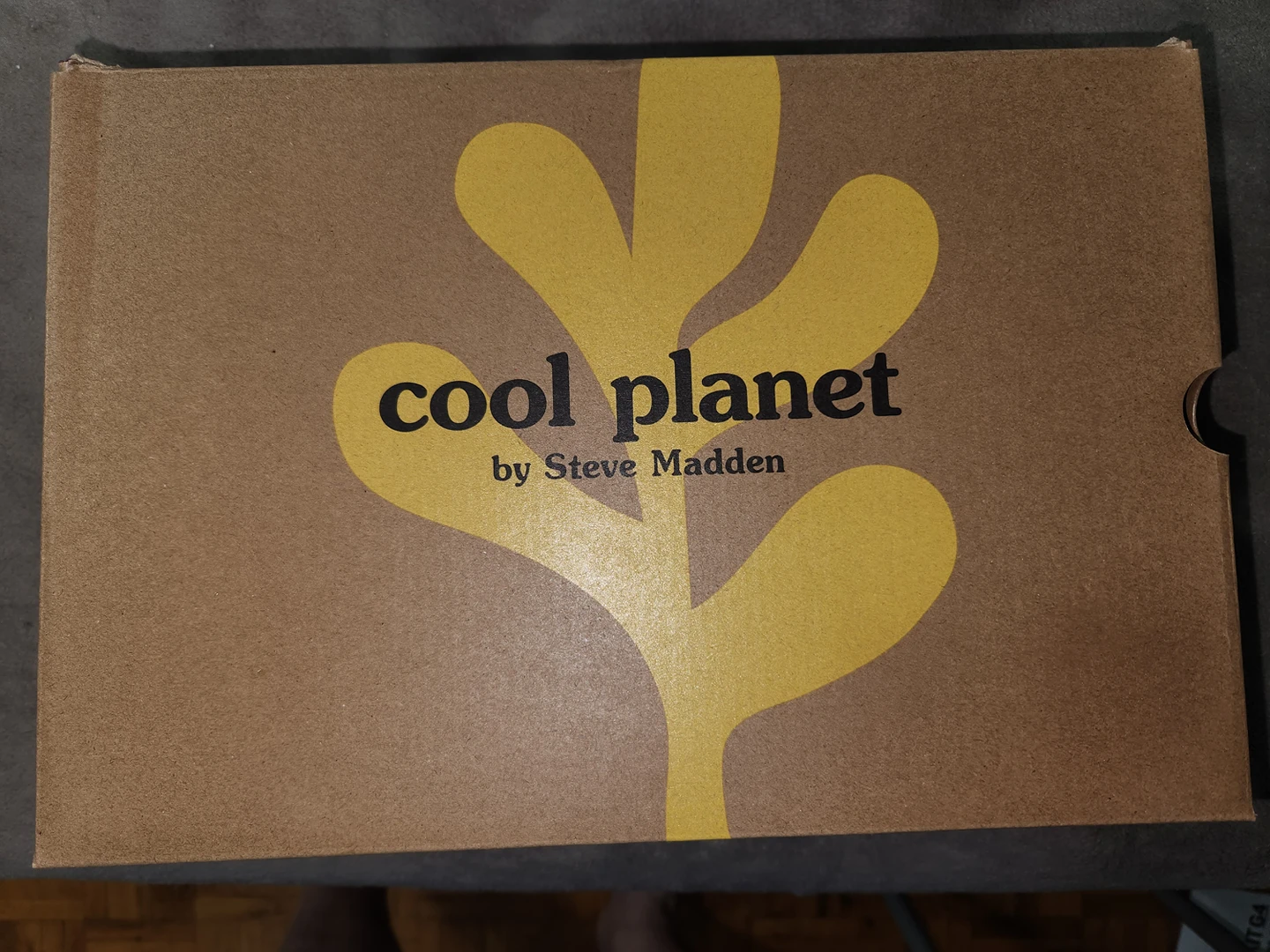 Steve Madden  women's shoes - photo 4