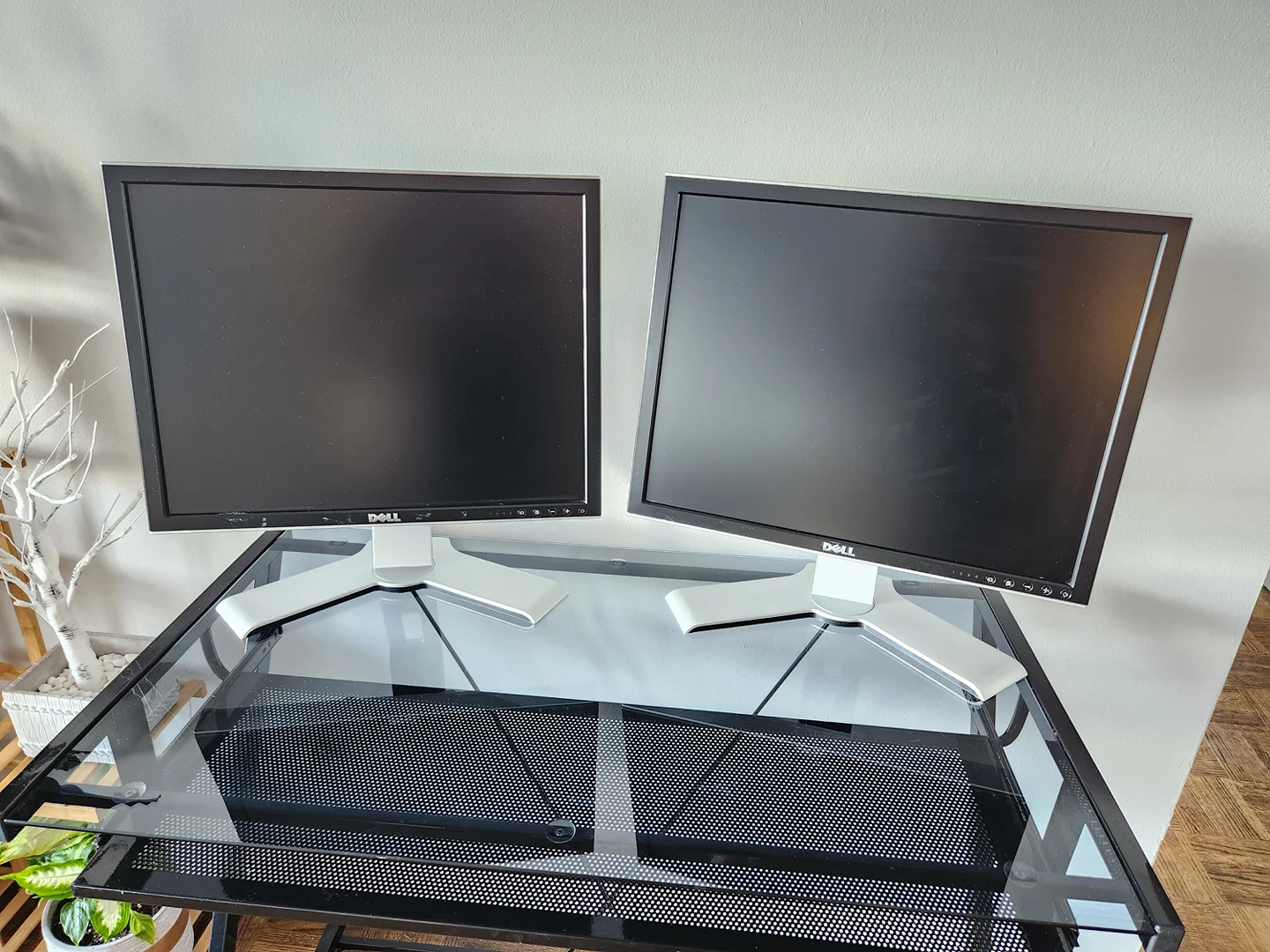 Two 20" Dell Computer Monitors image indicator(2)