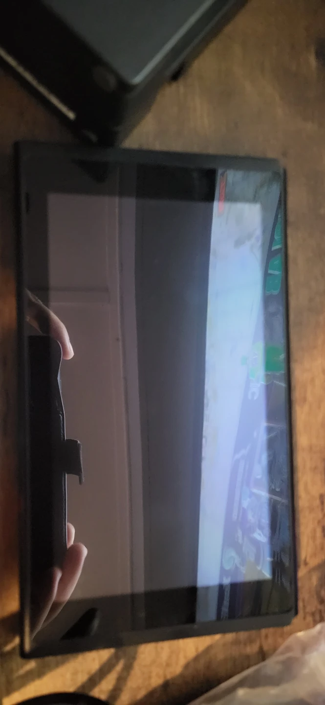 Nintendo Switch V2 - photo 4