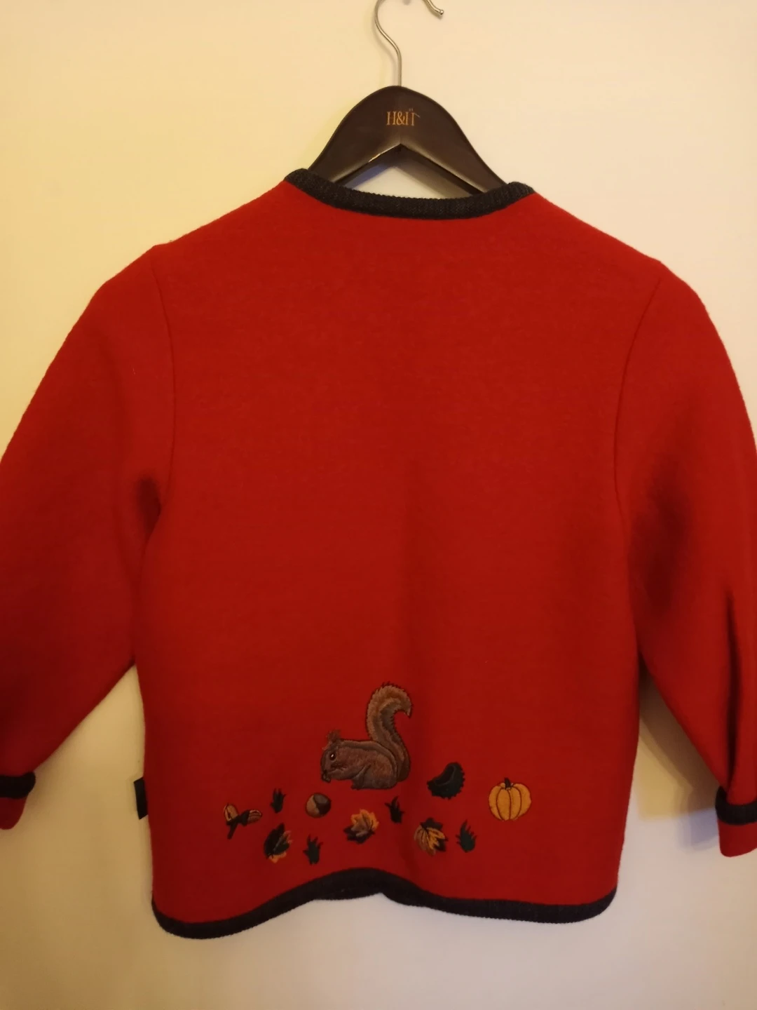 Geiger kids Tyrol sweater image indicator(7)