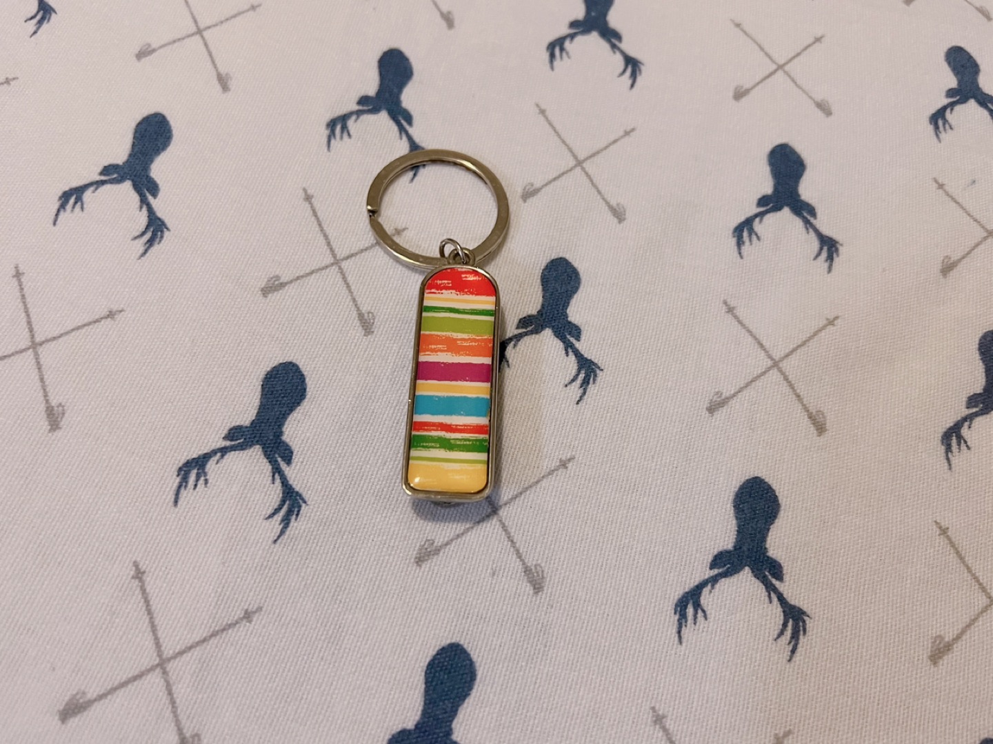 Rainbow Key Chain #freecycle