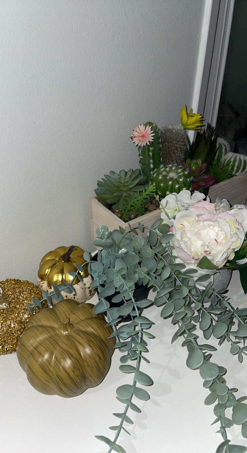 Free Decorations and Plants thumbnail