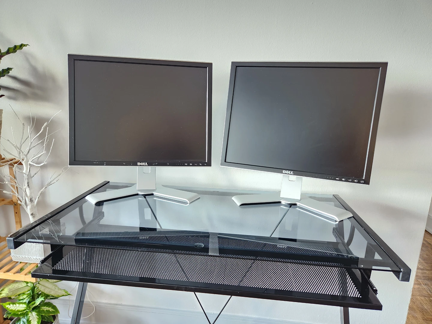 Two 20" Dell Computer Monitors thumbnail