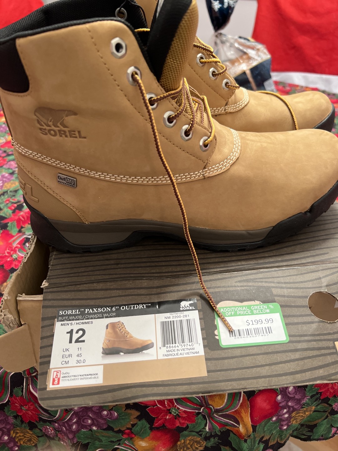 Men’s Sorel Boots
