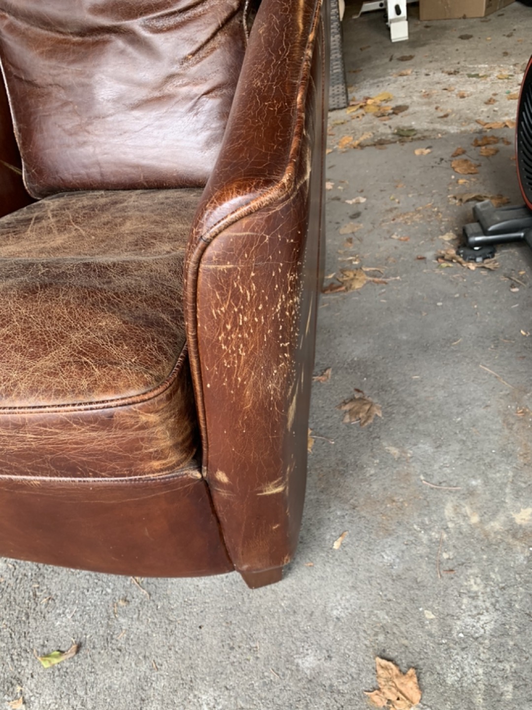 Free leather chair image indicator(2)