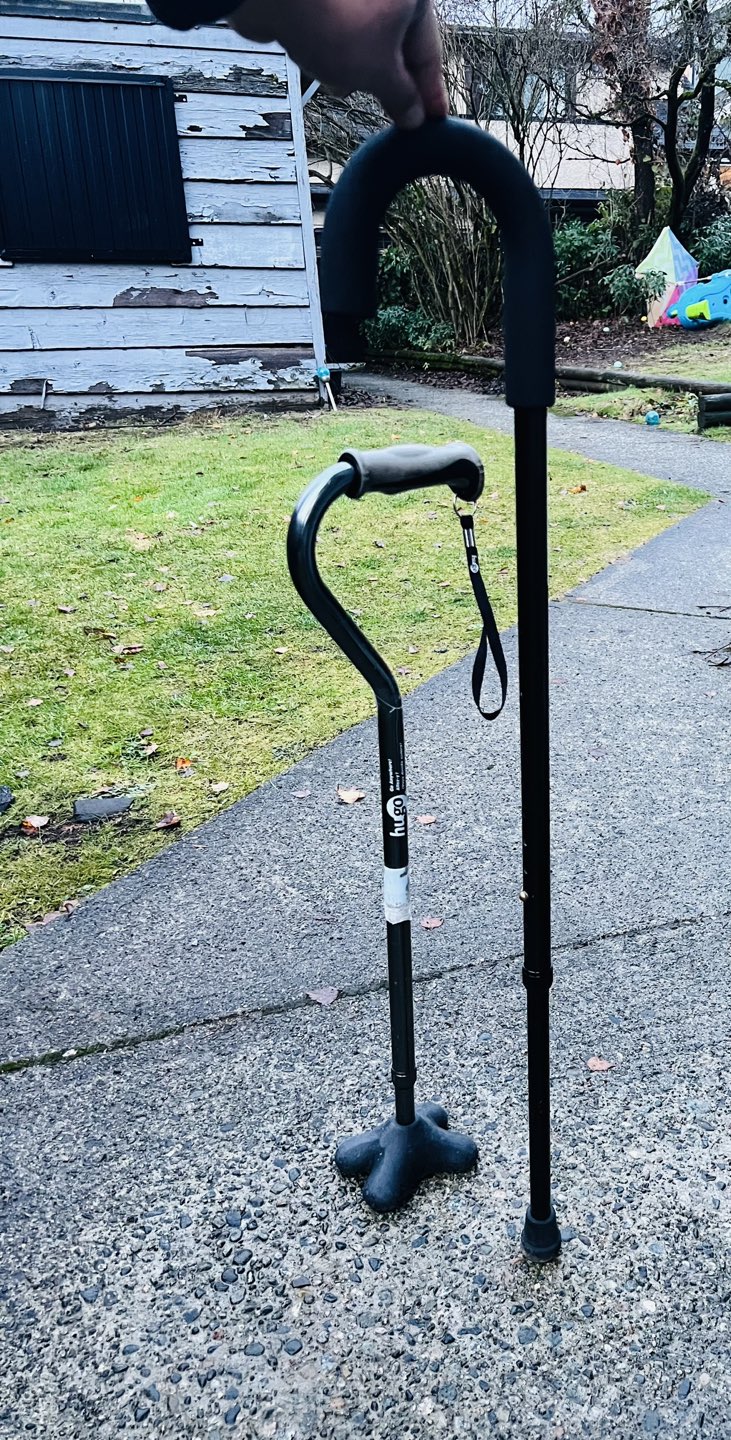 Adjustable Canes - photo 2