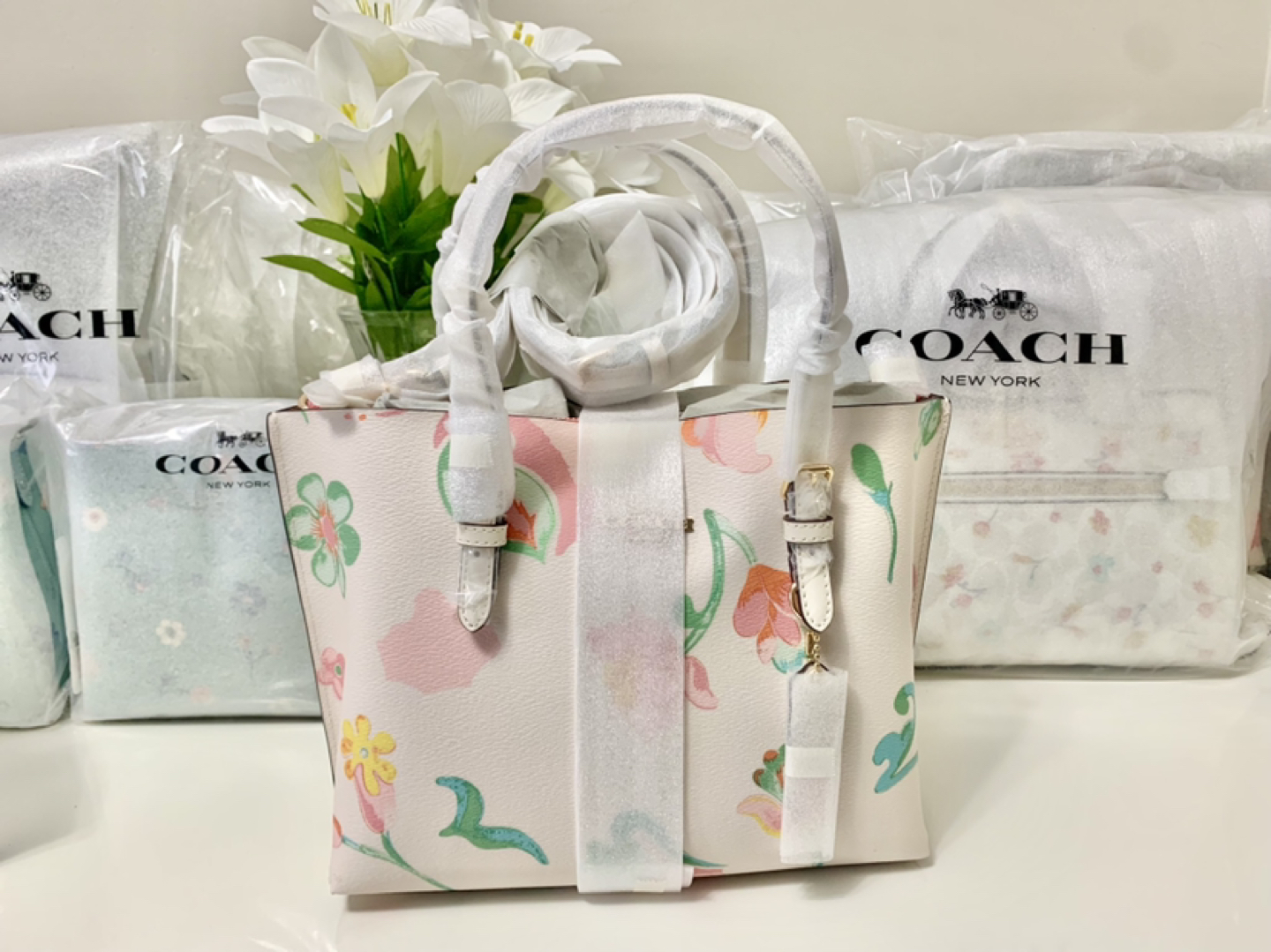 Coach Mollie Tote 25 With Dreamy Land Floral Print