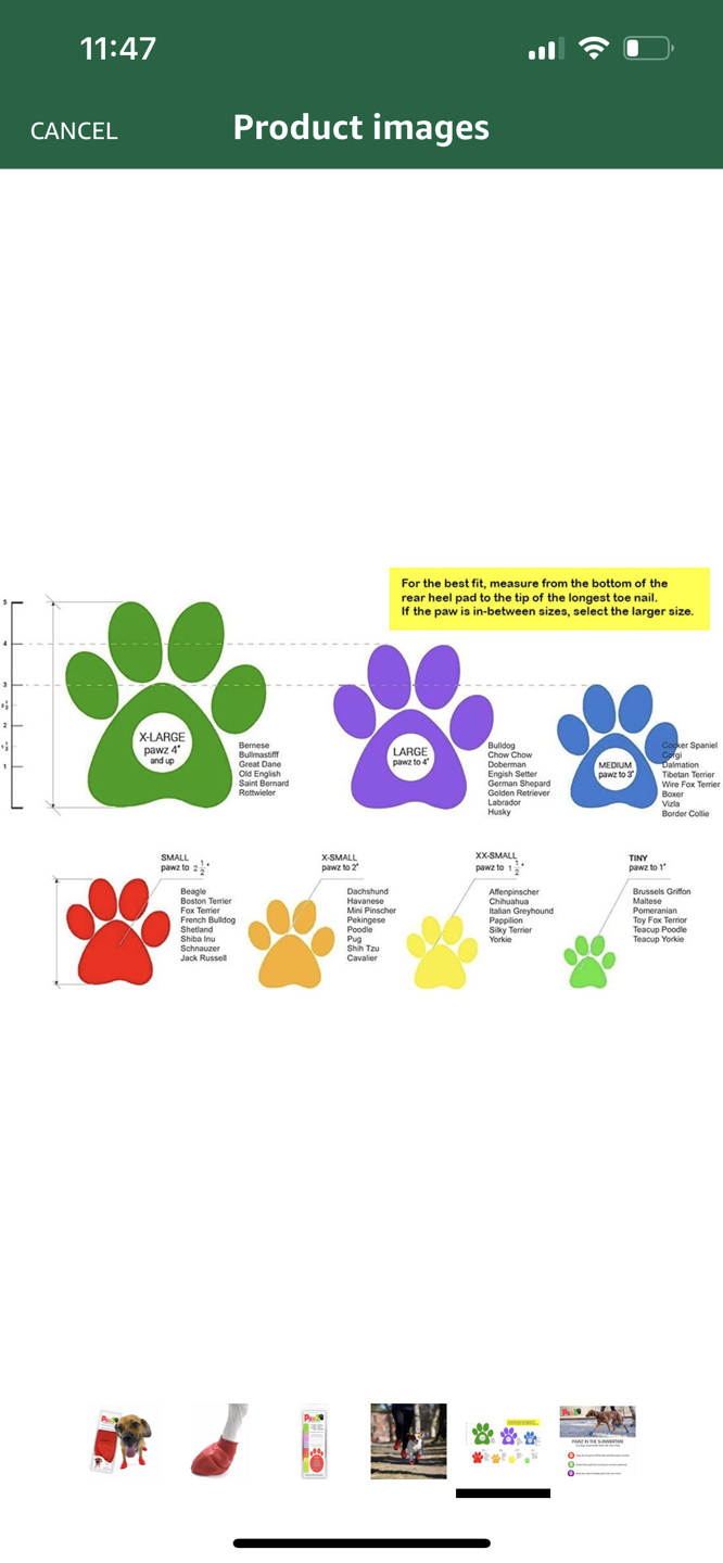 Brand New- Paws Protect Rubber Boots. Size XSmall for Dog - photo 4