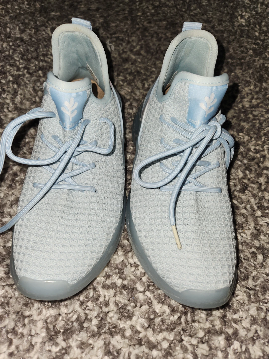 Steve Madden  women's shoes