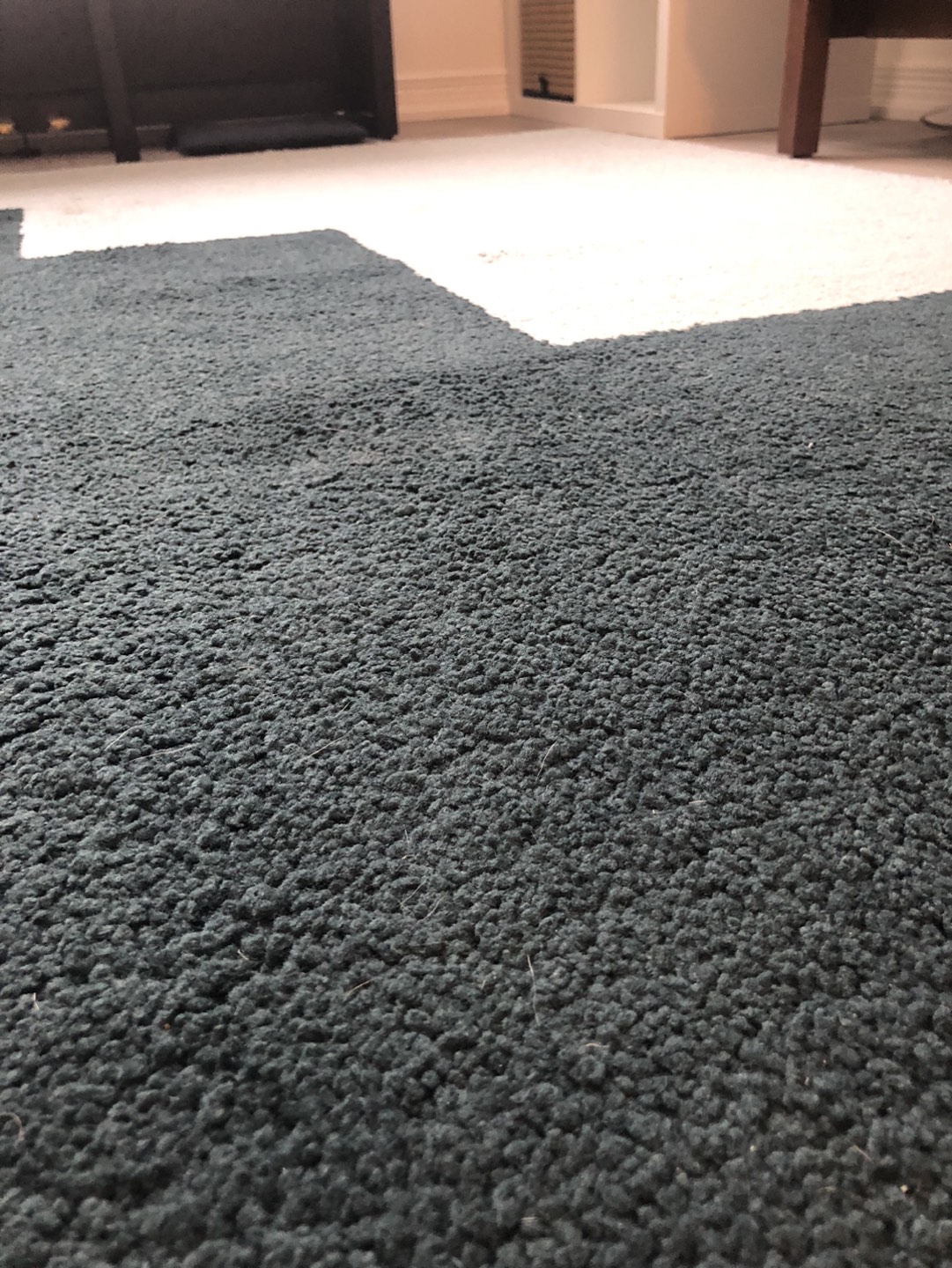 Ikea Big Rug - photo 2