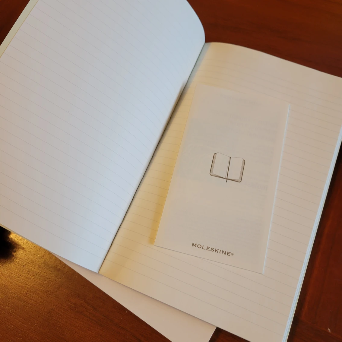 Moleskine Notebooks - photo 2