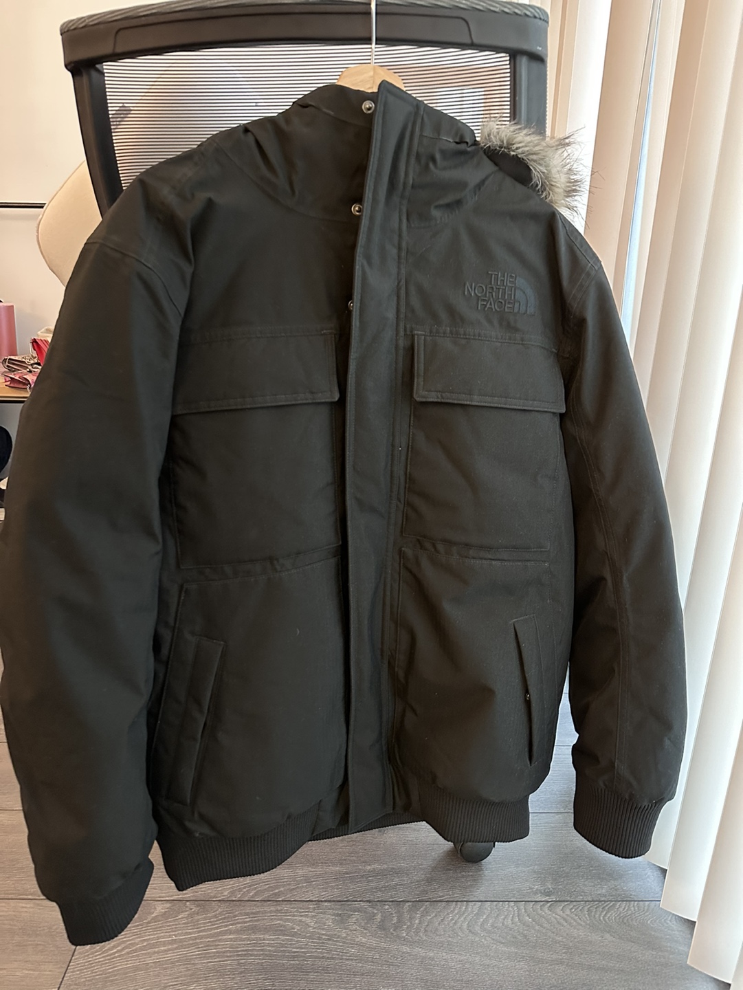 north face winter jacket BRAND NEW