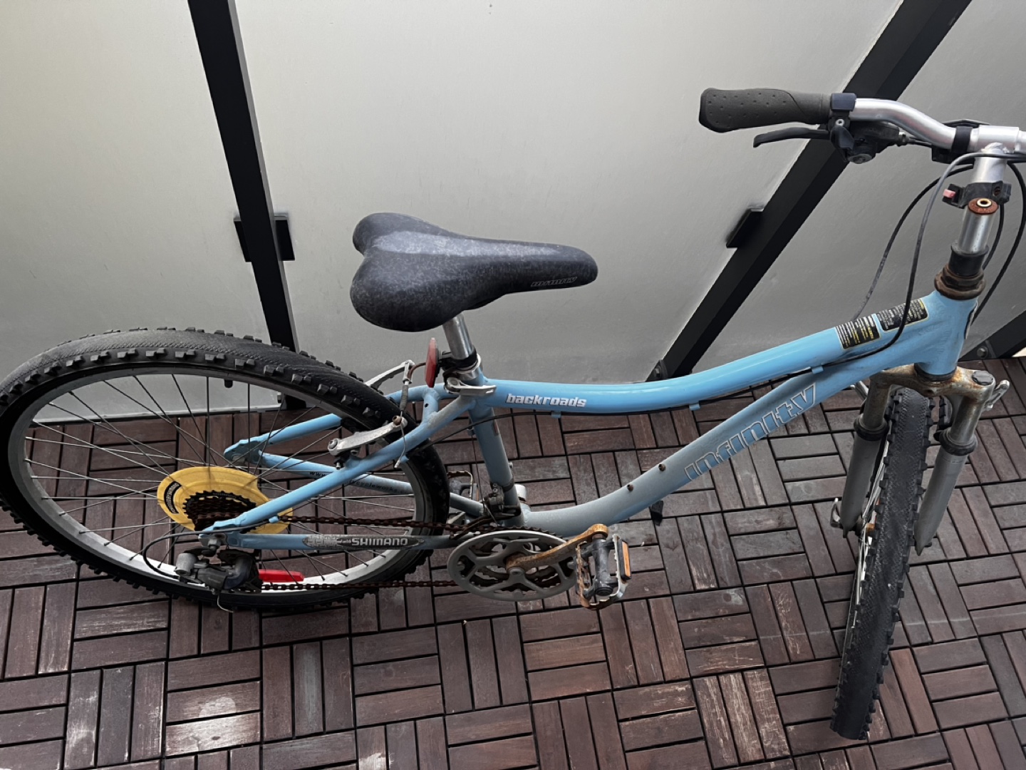 Bike (moving sale)