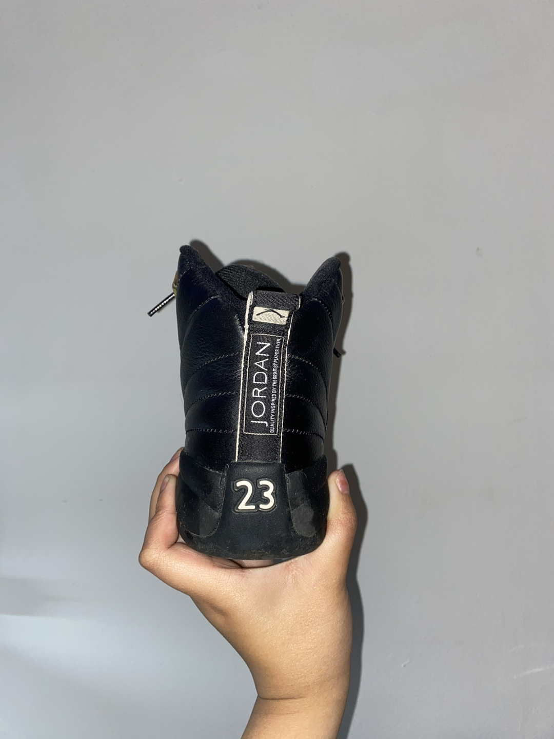 Jordan Master 12s shoes - photo 4