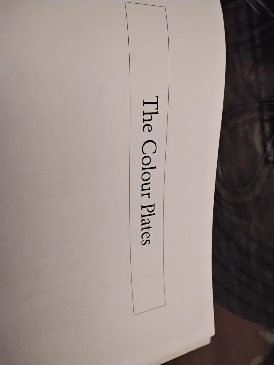 Beautiful Vintage Book "In The Holy Land" Paintings image indicator(6)