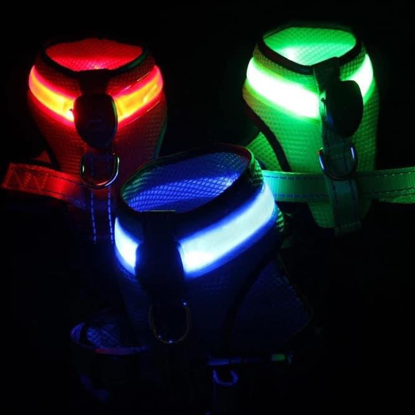 Harness with LED light for Small Dog Rechargeable