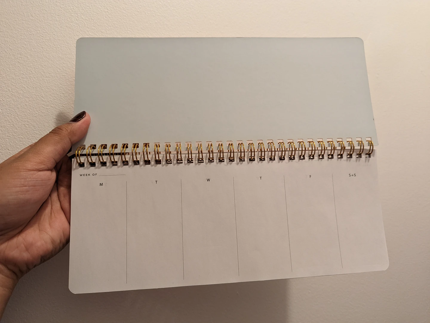Daily Notebook - photo 3