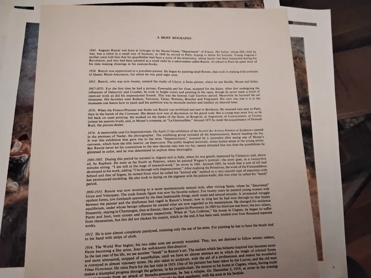 VINTAGE 1950-60S RENOIR 5 SKIRA COLOR PRINTS image indicator(3)