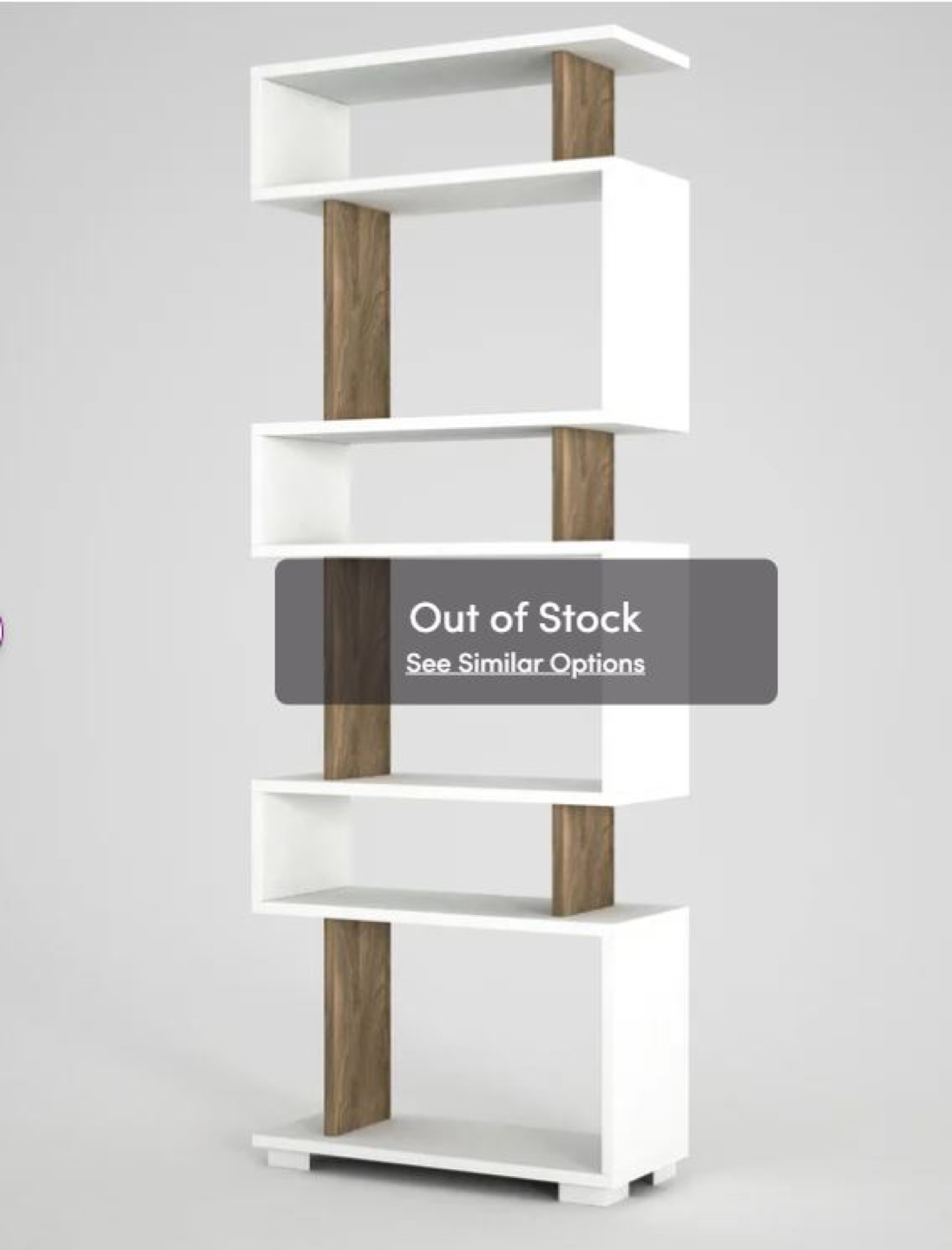 Akshaj 63'' H x 23.6'' W Standard Bookcase