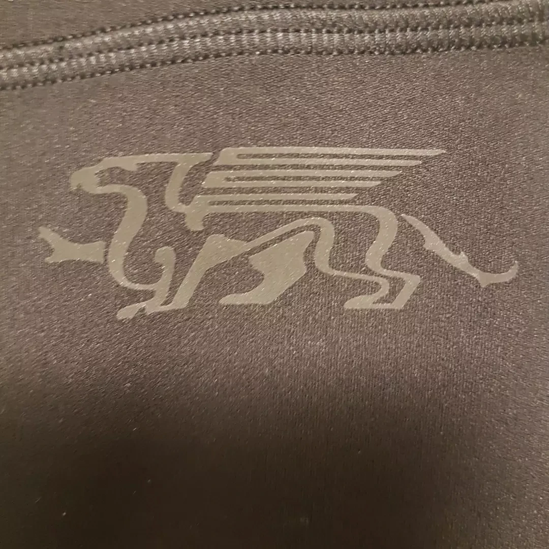 Guelph university Lululemon align leggings image indicator(6)