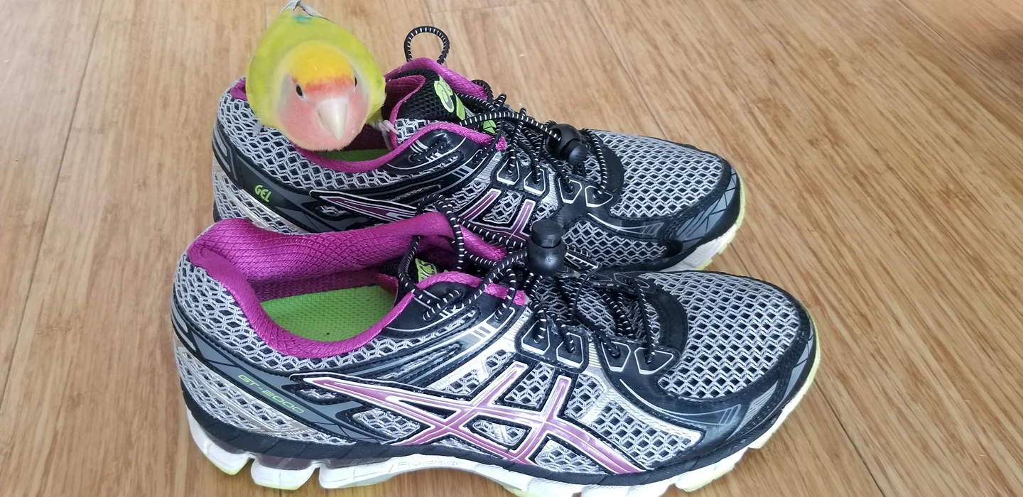 Asics GT-2000 v2 ladies running shoes sz 7.5 thumbnail