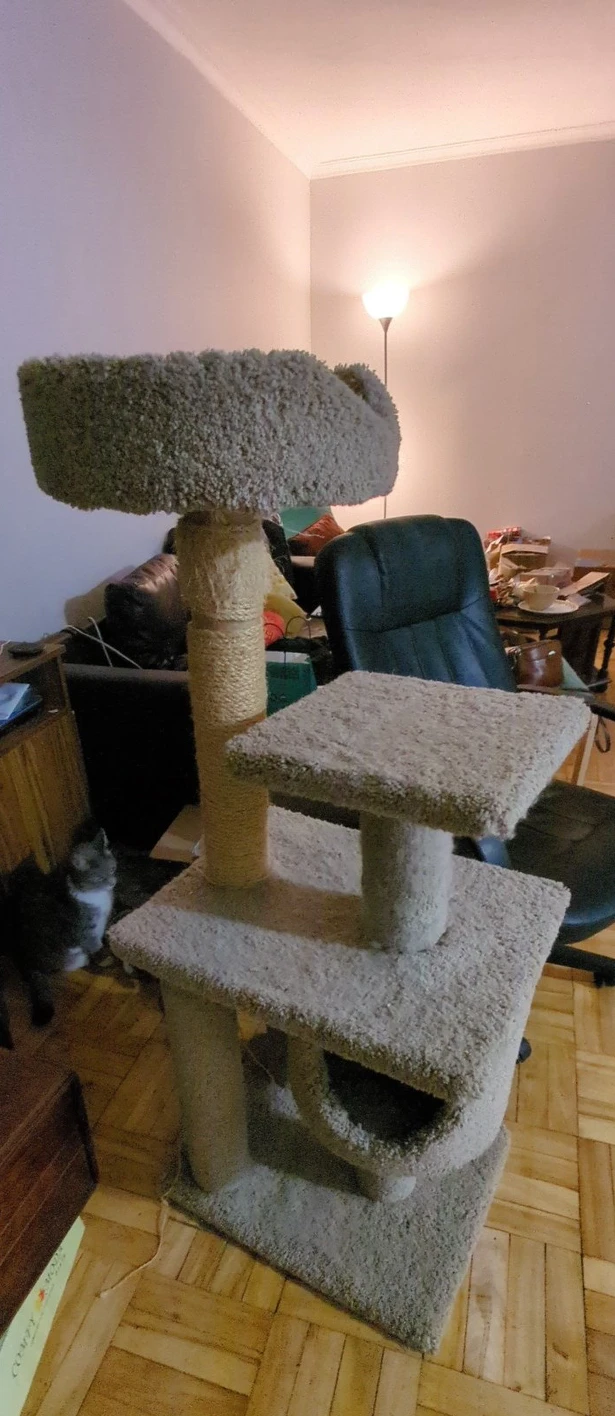 Cat Tree #freecycle