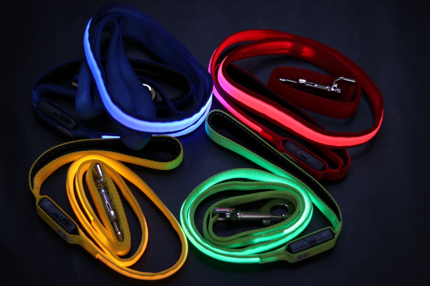 Leash with LED light for Big Dog /Rechargeable