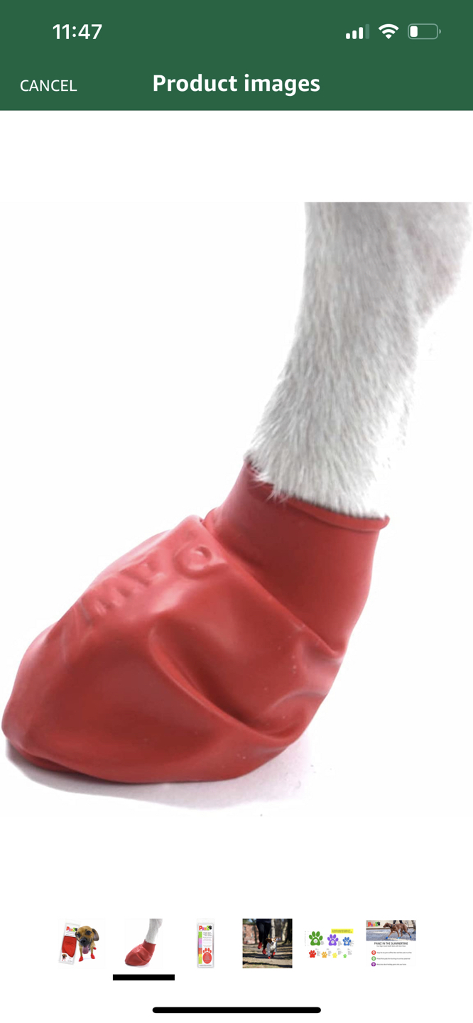 PROTEX PAWZ PZ1031 Water-Proof Dog Boot, Small,Red - photo 3