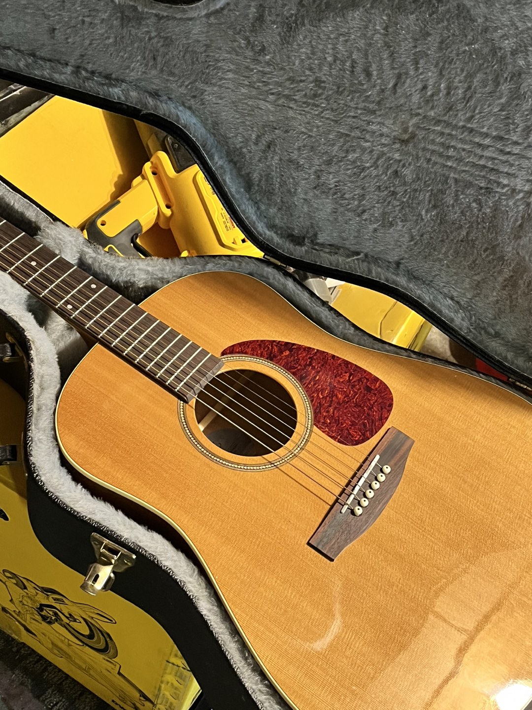 Seagull guitar