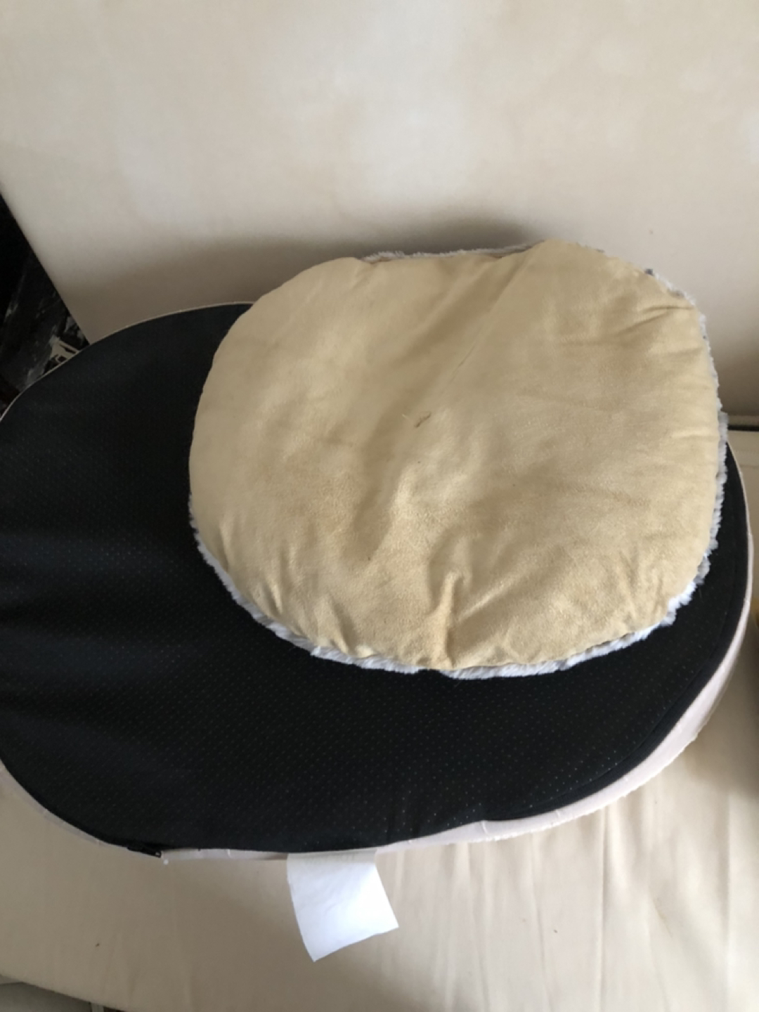 Dog bed and food (18x26 inch ) - photo 4