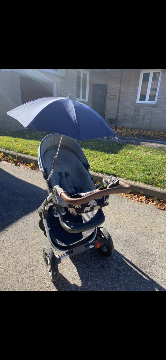 Stokke Trailz Stroller