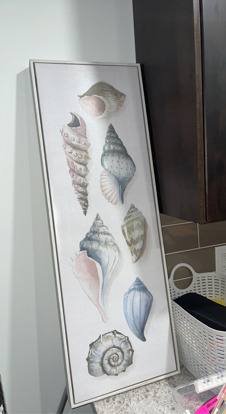 Seashell Print Canvas Art thumbnail