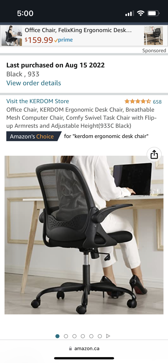 Office Chair / Desk Chair