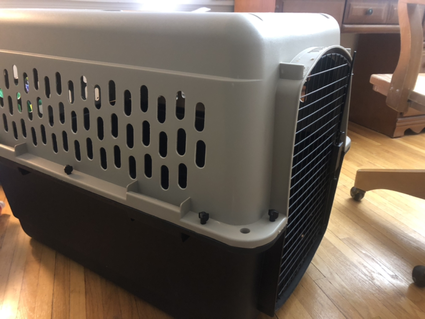 Big carrier for pets - photo 2