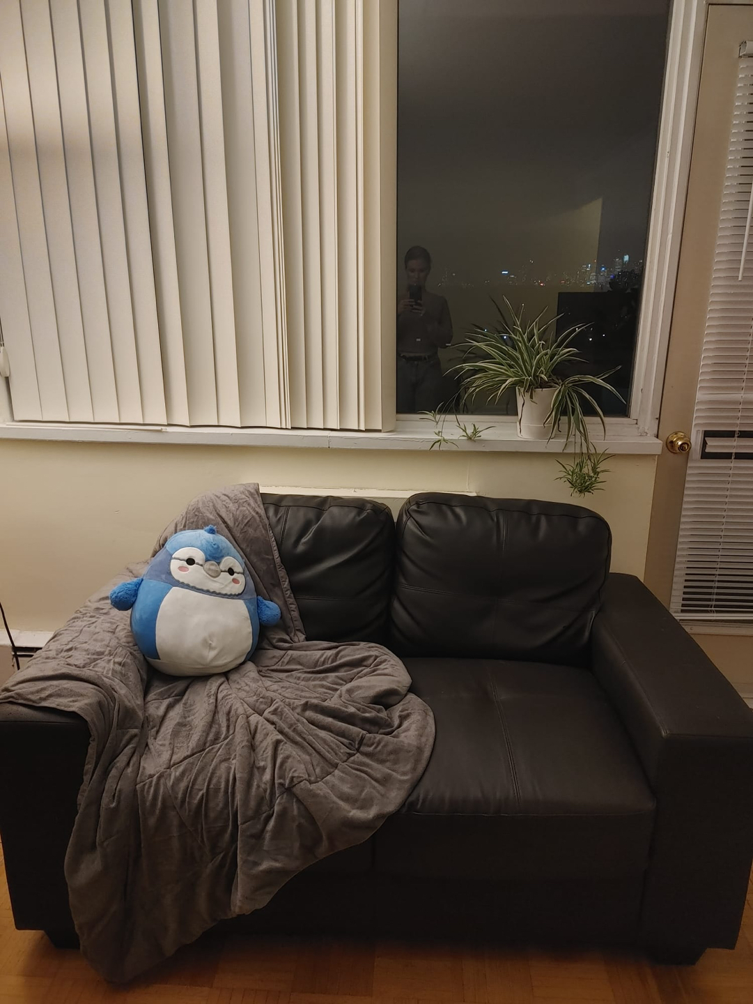 Couch thumbnail