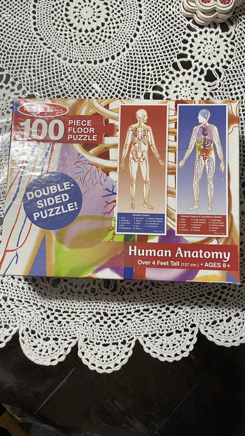 Human Anatomy Puzzle #freerecycle thumbnail