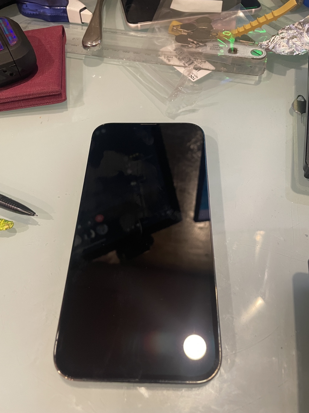 iPhone 13 Pro Max