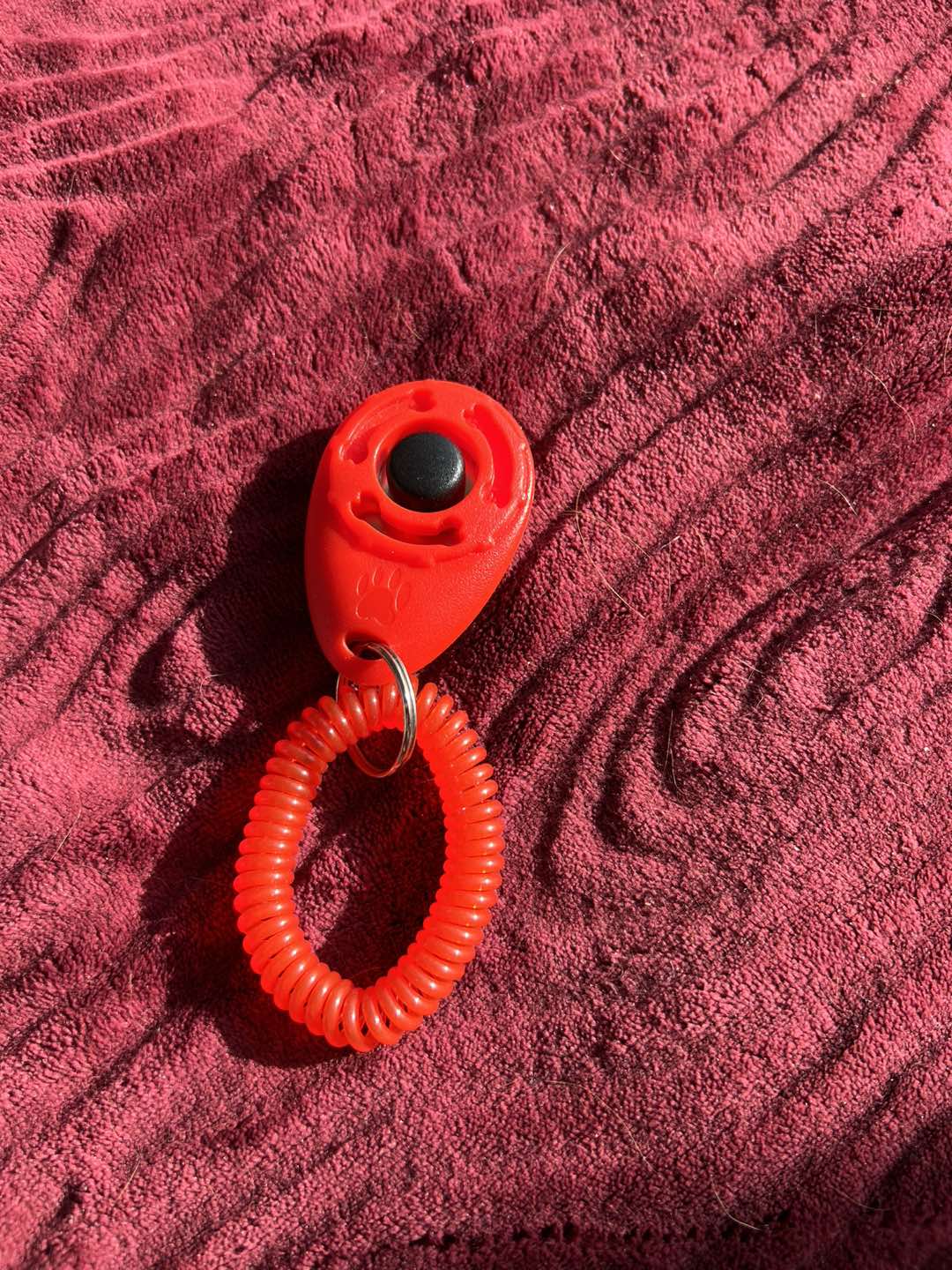 Dog clicker training tool