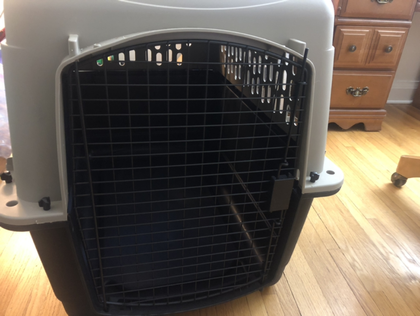 A big carrier for pets