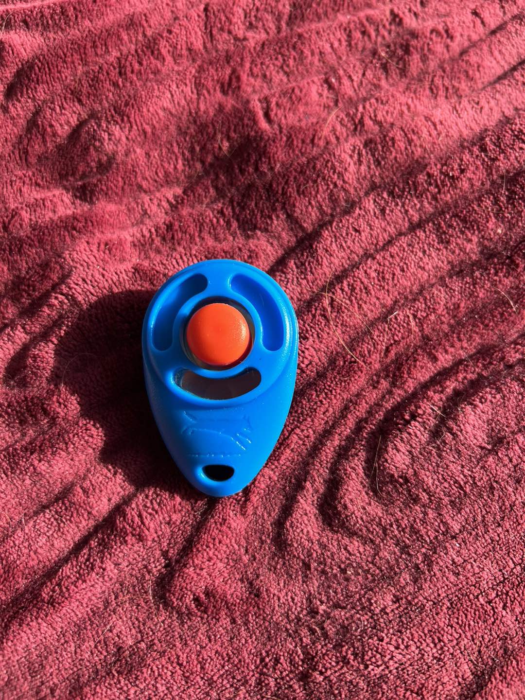 StarMark Clicker Dog Training Tool