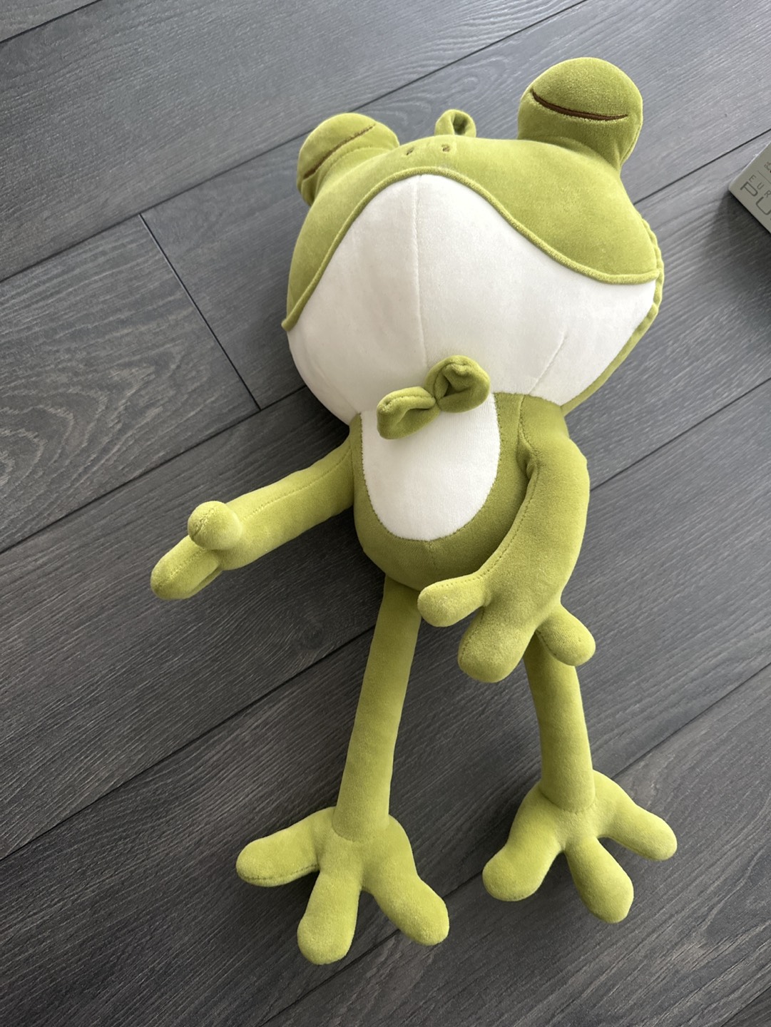 Sleepy frog plushy toy thumbnail