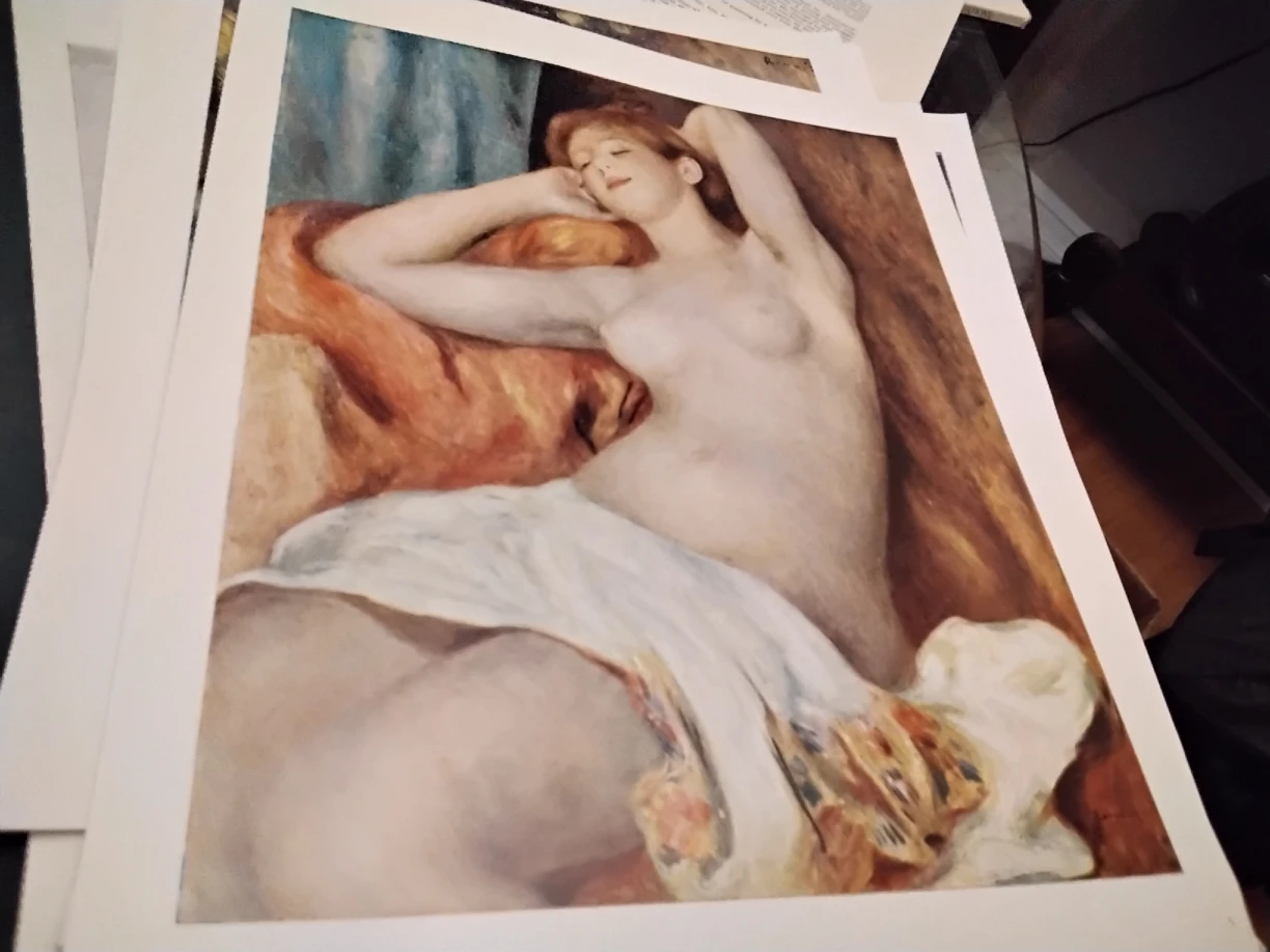 VINTAGE 1950-60S RENOIR 5 SKIRA COLOR PRINTS image indicator(7)