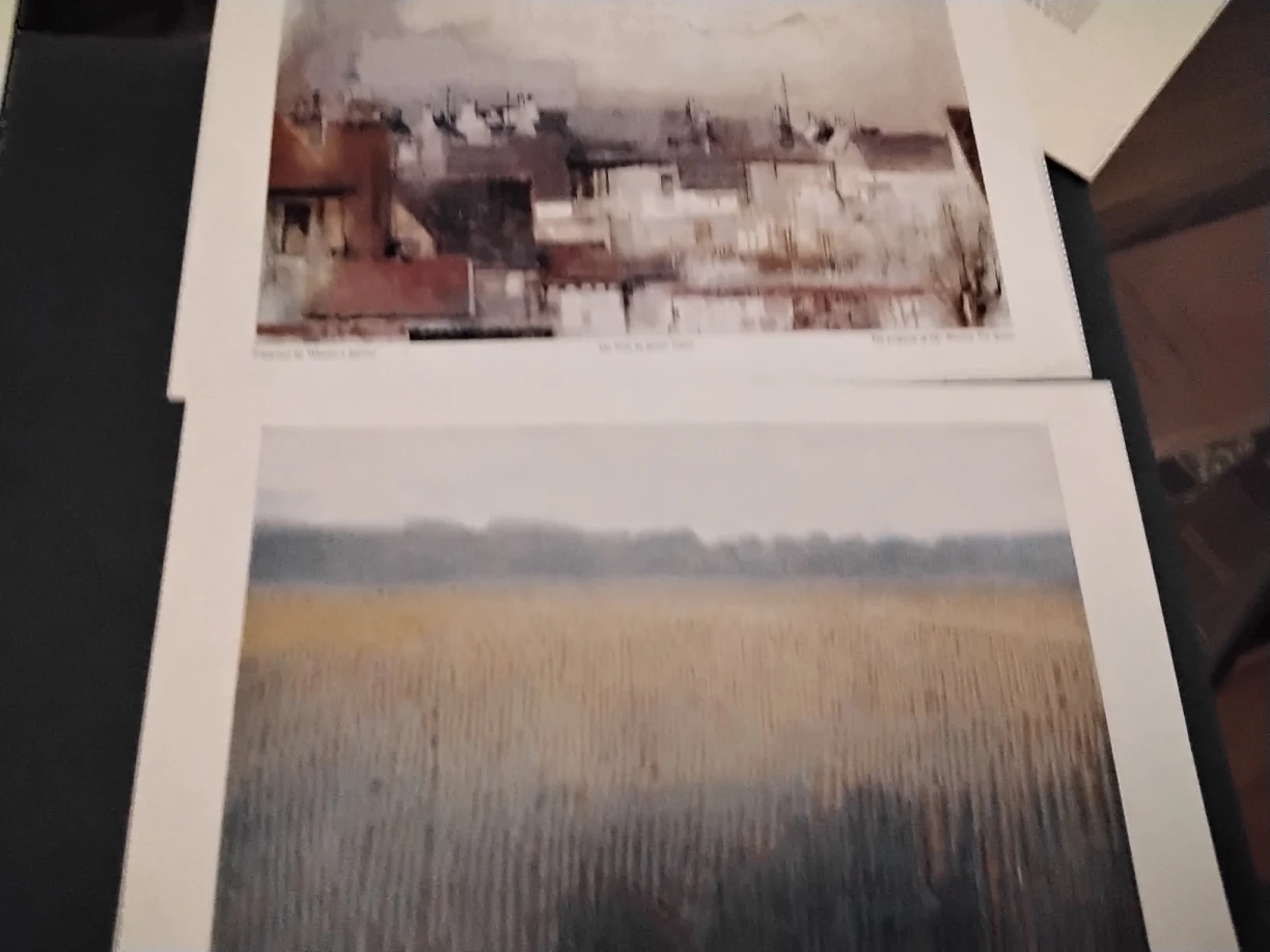 VINTAGE 1950-60S RENOIR 5 SKIRA COLOR PRINTS image indicator(10)