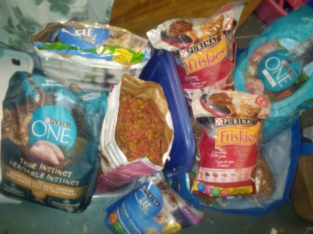 Tons of cat food