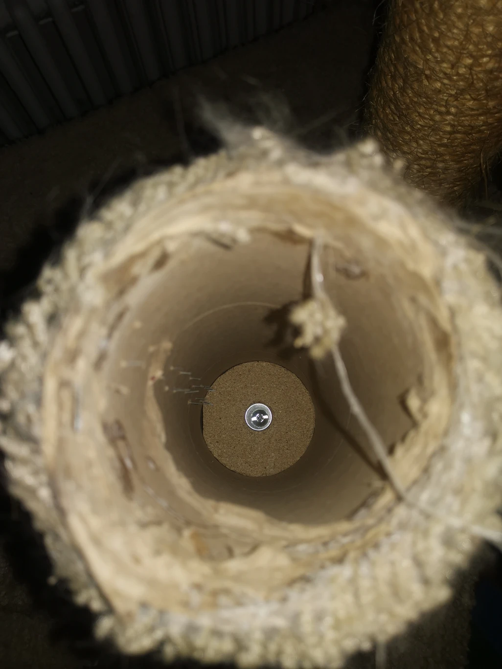 Cat Tree #freecycle - photo 3