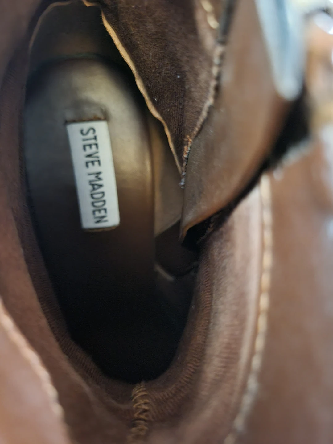 Brown Snake Leather Ankle Boots - Steve Madden - photo 4